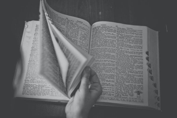 Use the dictionary to learn a lenguage
