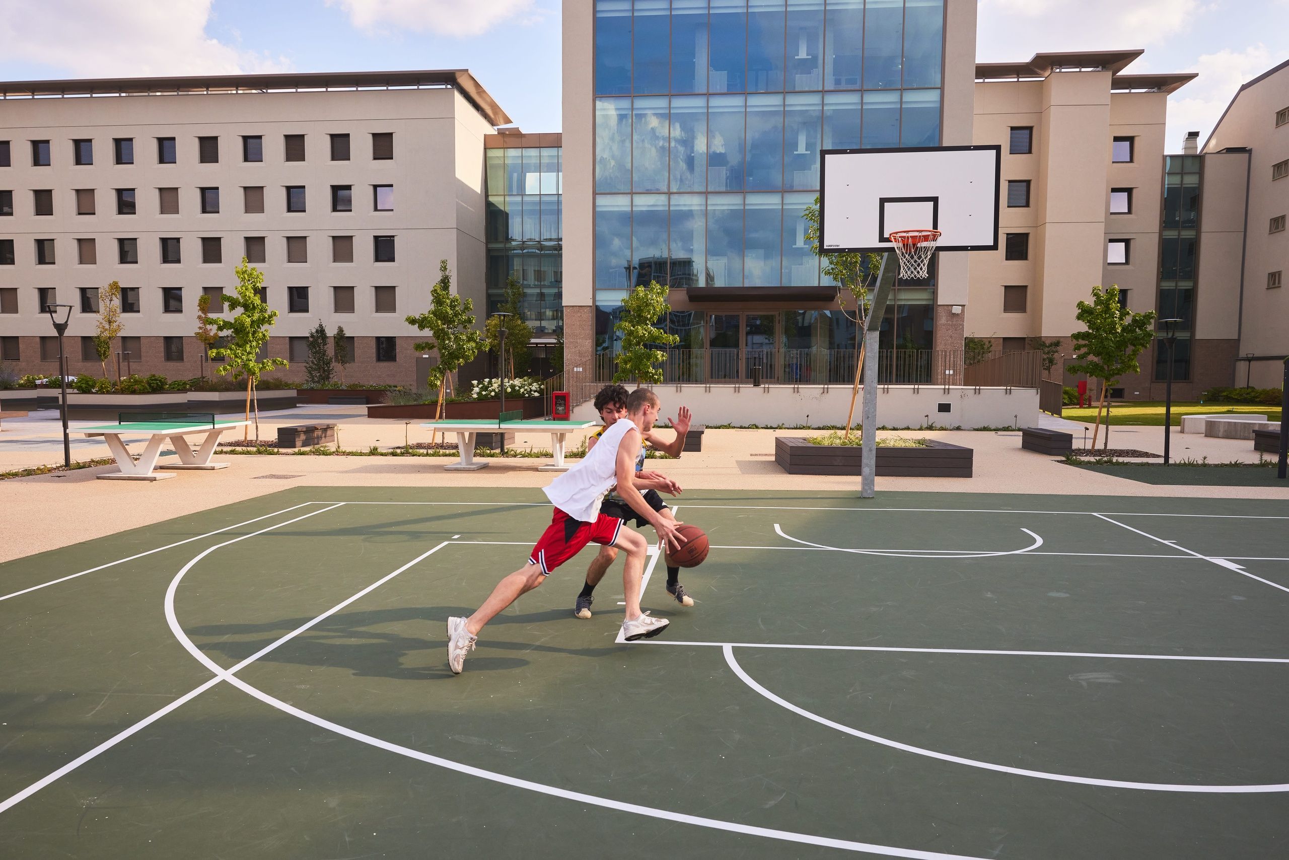 Collegiate Milan North - Basketball Lifestyle