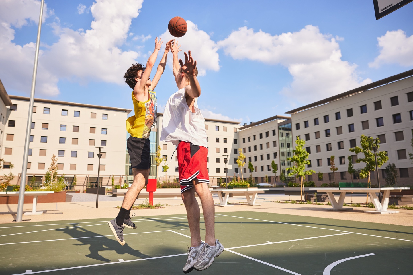 Collegiate Milan North - Basketball Lifestyle